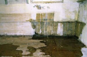 fix-water-leaking-into-basement-after-heavy-rain