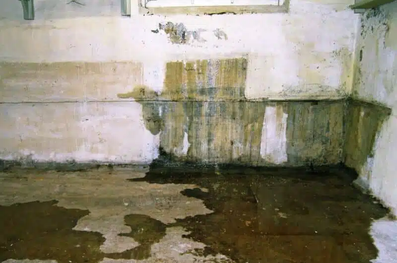 fix-water-leaking-into-basement-after-heavy-rain